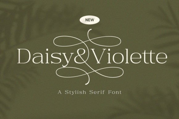 Daisy Violette: A Modern Serif for Elegant Design
